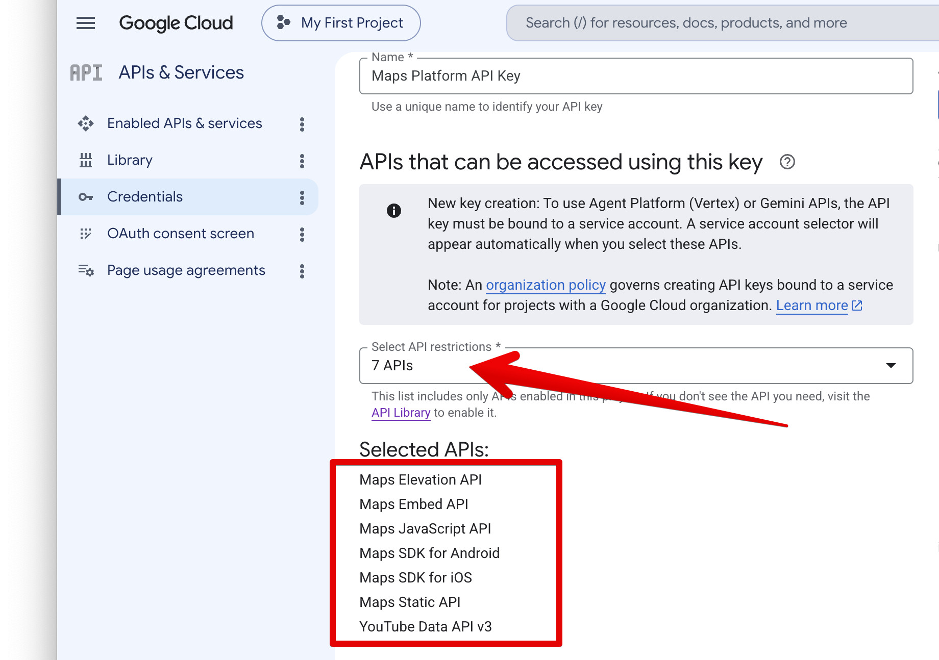 api restriction